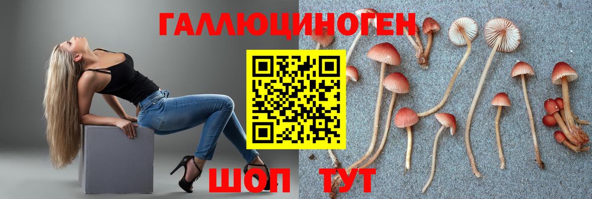 купить  цена  Галлюциногенные грибы Psilocybe  Псилоцибиновые грибы Magic Shrooms  Вход с VPN  Туймазы 