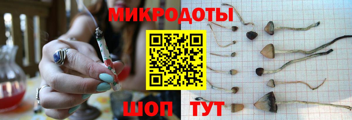 Псилоцибиновые грибы GOLDEN TEACHER Туймазы